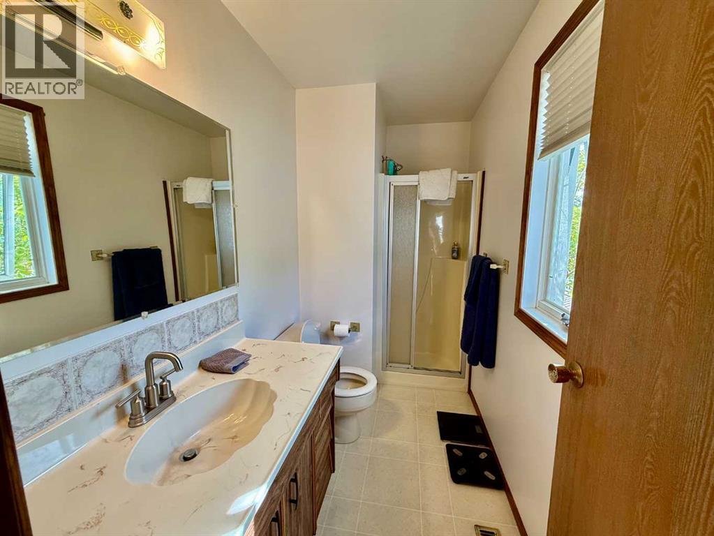 4219 54 Avenue, Provost, Alberta  T0B 3S0 - Photo 16 - A2259041