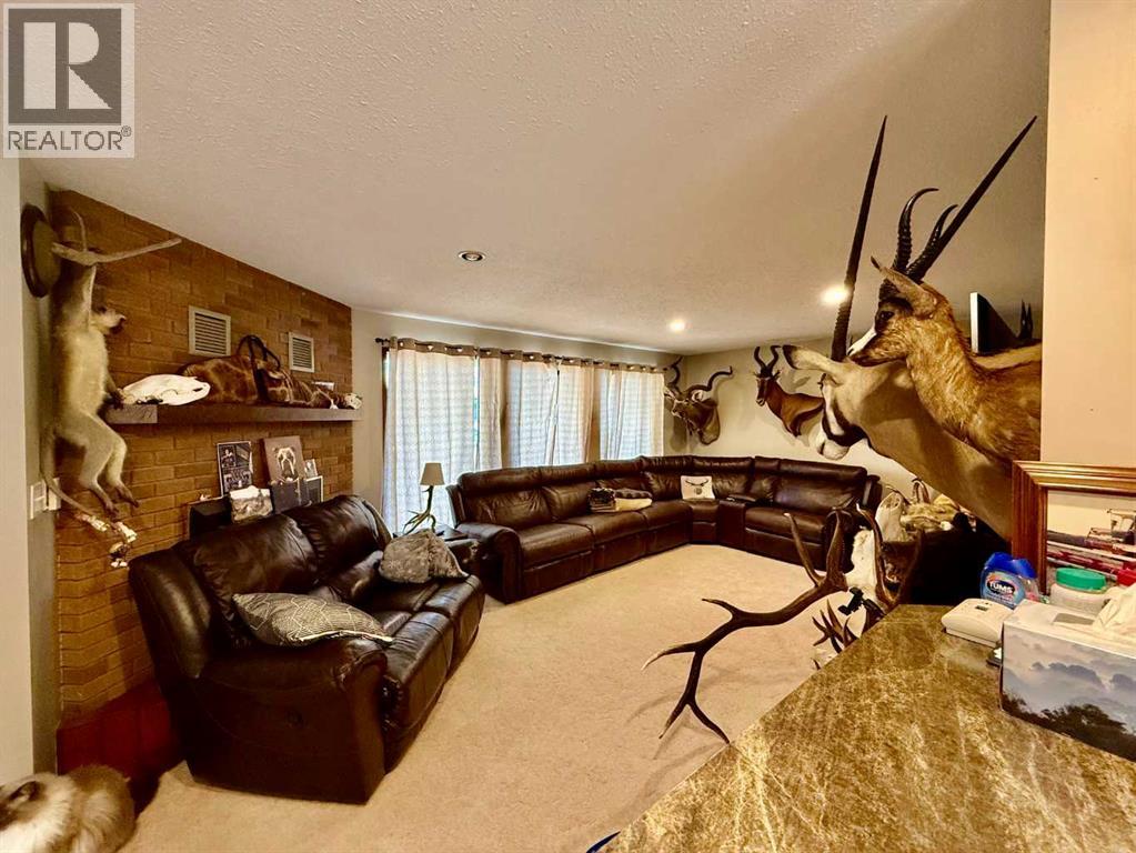 4219 54 Avenue, Provost, Alberta  T0B 3S0 - Photo 5 - A2259041