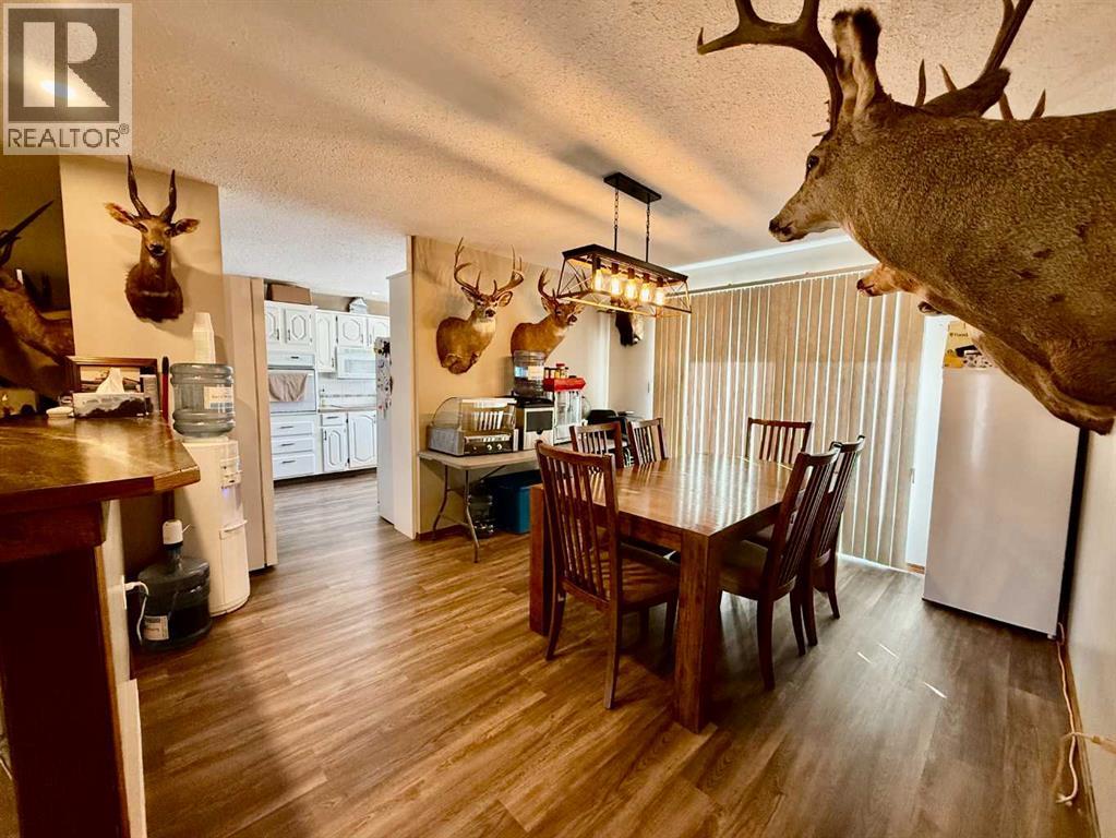 4219 54 Avenue, Provost, Alberta  T0B 3S0 - Photo 7 - A2259041