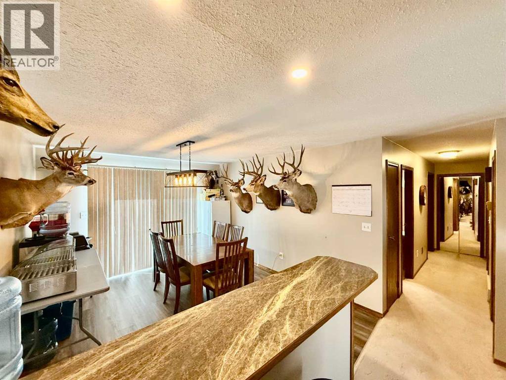 4219 54 Avenue, Provost, Alberta  T0B 3S0 - Photo 9 - A2259041