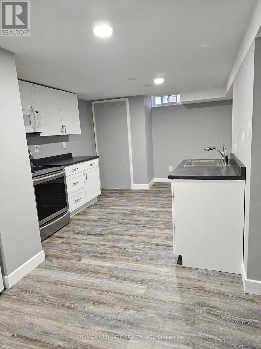 Lower - 977 Ferndale Crescent, Newmarket, Ontario  L3Y 6B6 - Photo 2 - N12479117