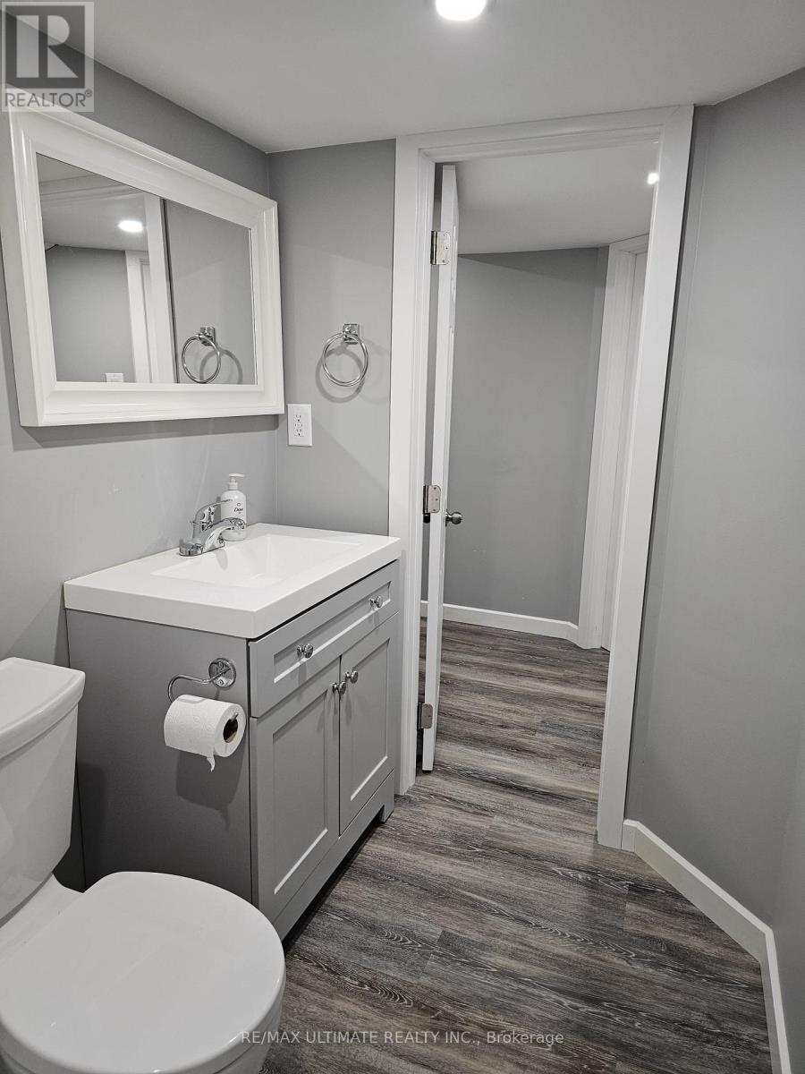 Lower - 977 Ferndale Crescent, Newmarket, Ontario  L3Y 6B6 - Photo 9 - N12479117