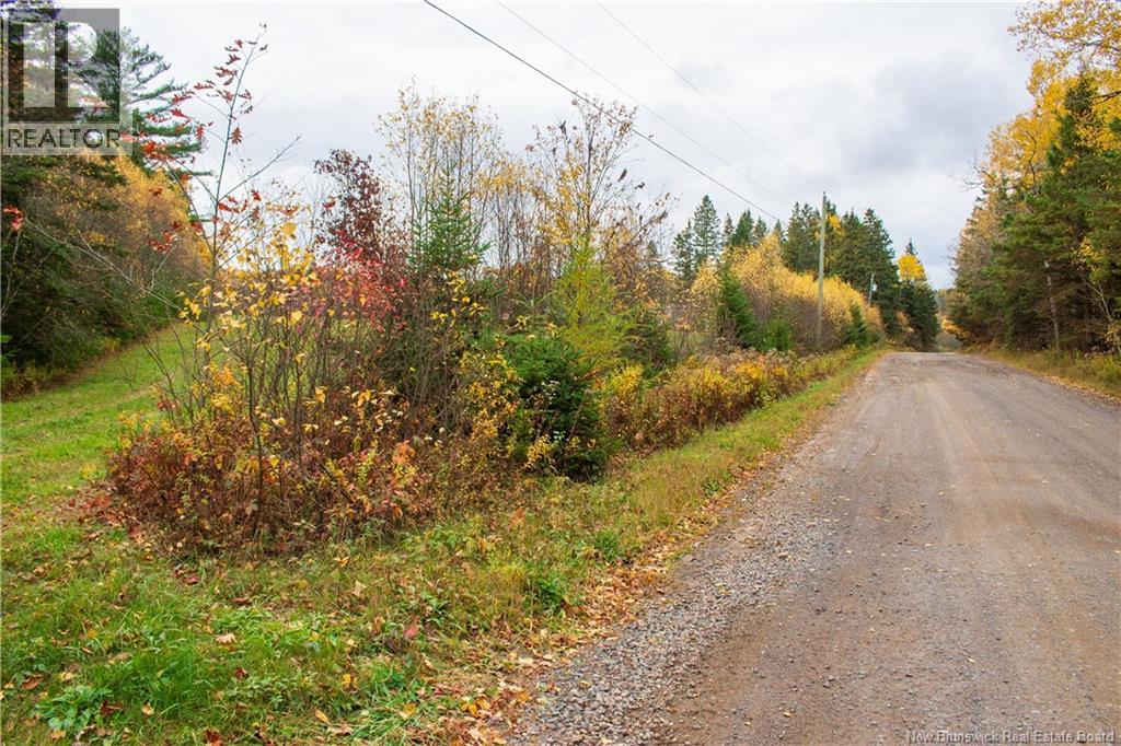 Lot Ravine Road, Midland, New Brunswick  E5T 3L8 - Photo 2 - NB129062
