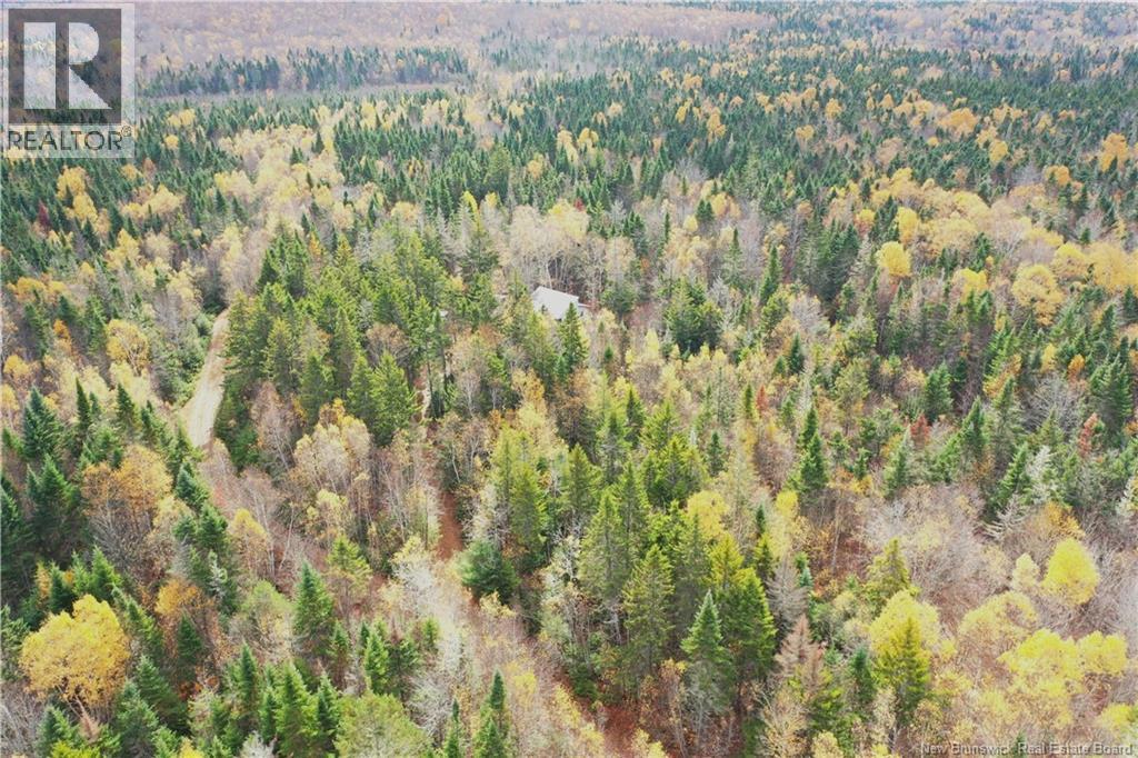 Lot Ravine Road, Midland, New Brunswick  E5T 3L8 - Photo 1 - NB129062