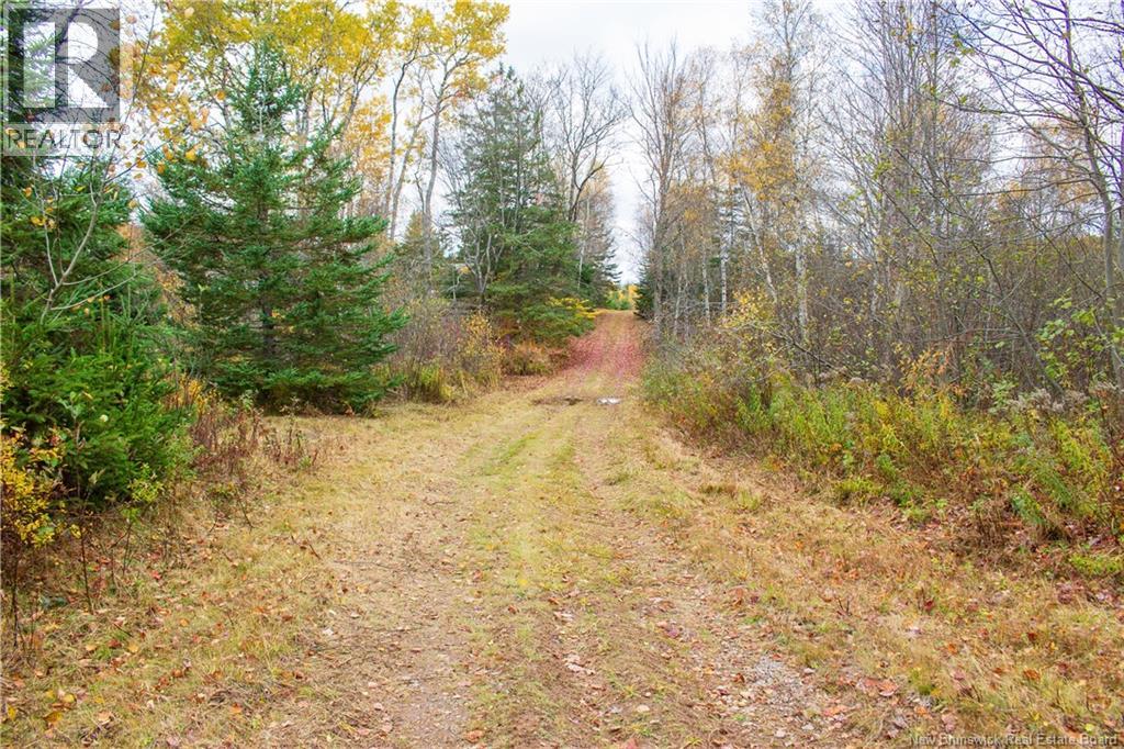 Lot Ravine Road, Midland, New Brunswick  E5T 3L8 - Photo 5 - NB129062