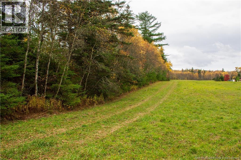 Lot Ravine Road, Midland, New Brunswick  E5T 3L8 - Photo 3 - NB129062