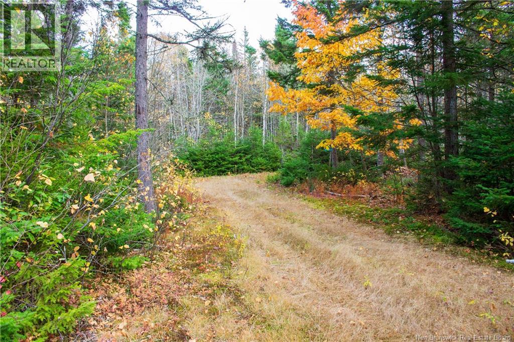 Lot Ravine Road, Midland, New Brunswick  E5T 3L8 - Photo 4 - NB129062