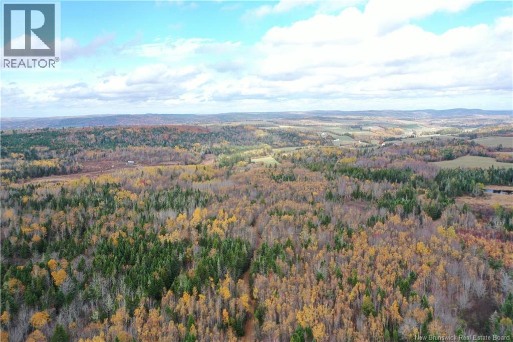 Lot Ravine Road, Midland, New Brunswick  E5T 3L8 - Photo 18 - NB129062