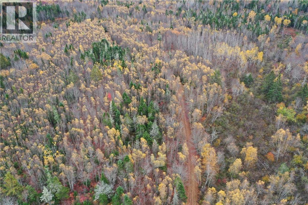 Lot Ravine Road, Midland, New Brunswick  E5T 3L8 - Photo 16 - NB129062