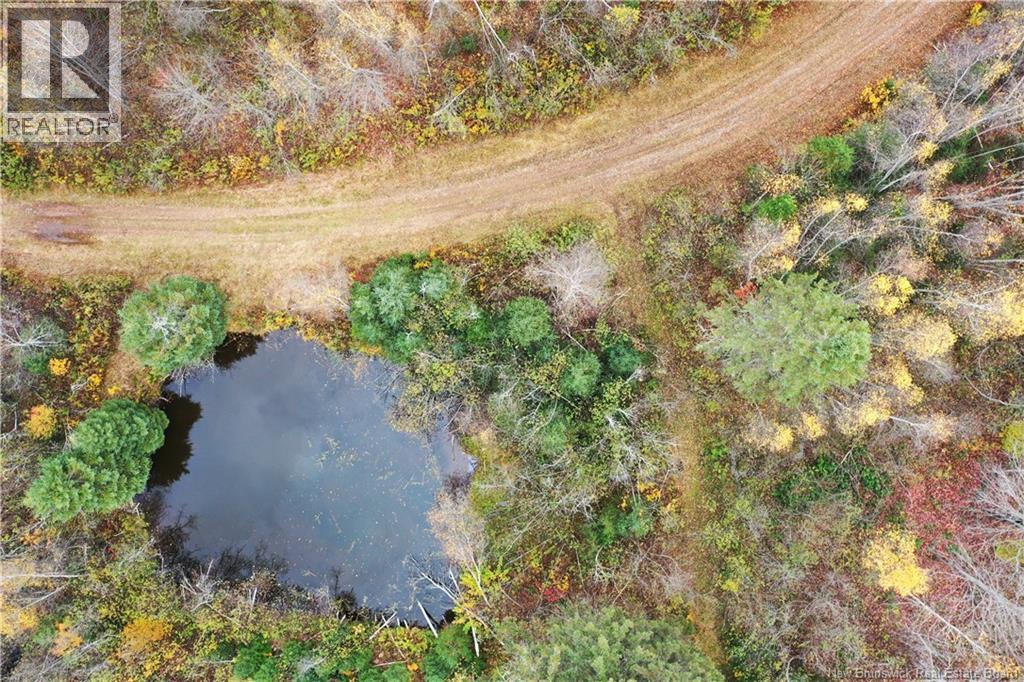 Lot Ravine Road, Midland, New Brunswick  E5T 3L8 - Photo 6 - NB129062