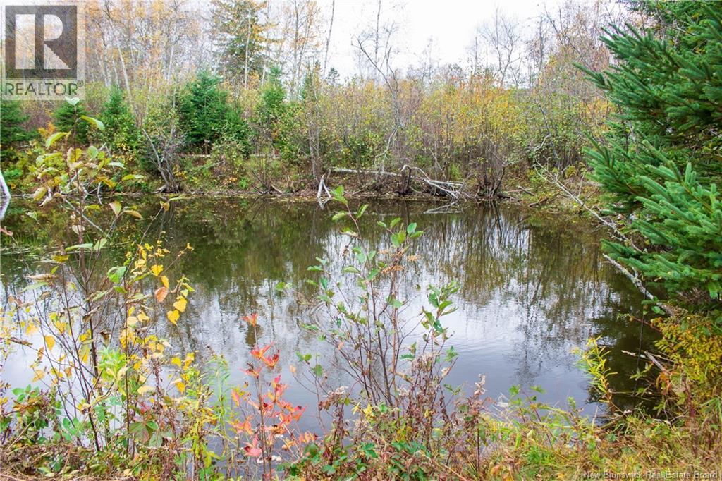 Lot Ravine Road, Midland, New Brunswick  E5T 3L8 - Photo 7 - NB129062