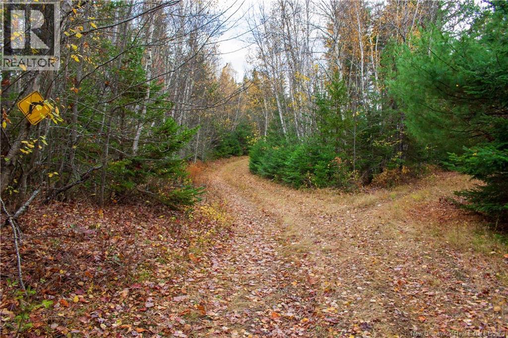 Lot Ravine Road, Midland, New Brunswick  E5T 3L8 - Photo 17 - NB129062
