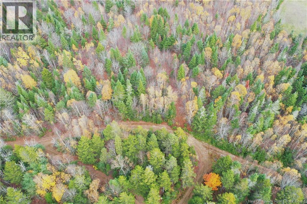 Lot Ravine Road, Midland, New Brunswick  E5T 3L8 - Photo 14 - NB129062