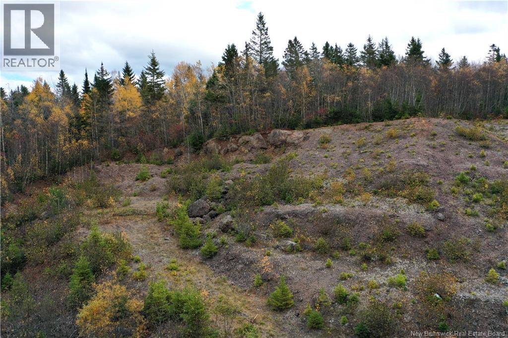 Lot Ravine Road, Midland, New Brunswick  E5T 3L8 - Photo 19 - NB129062