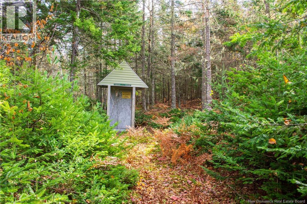 Lot Ravine Road, Midland, New Brunswick  E5T 3L8 - Photo 12 - NB129062