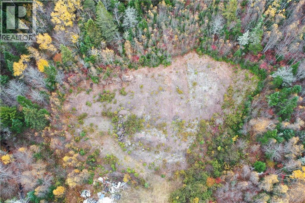 Lot Ravine Road, Midland, New Brunswick  E5T 3L8 - Photo 15 - NB129062