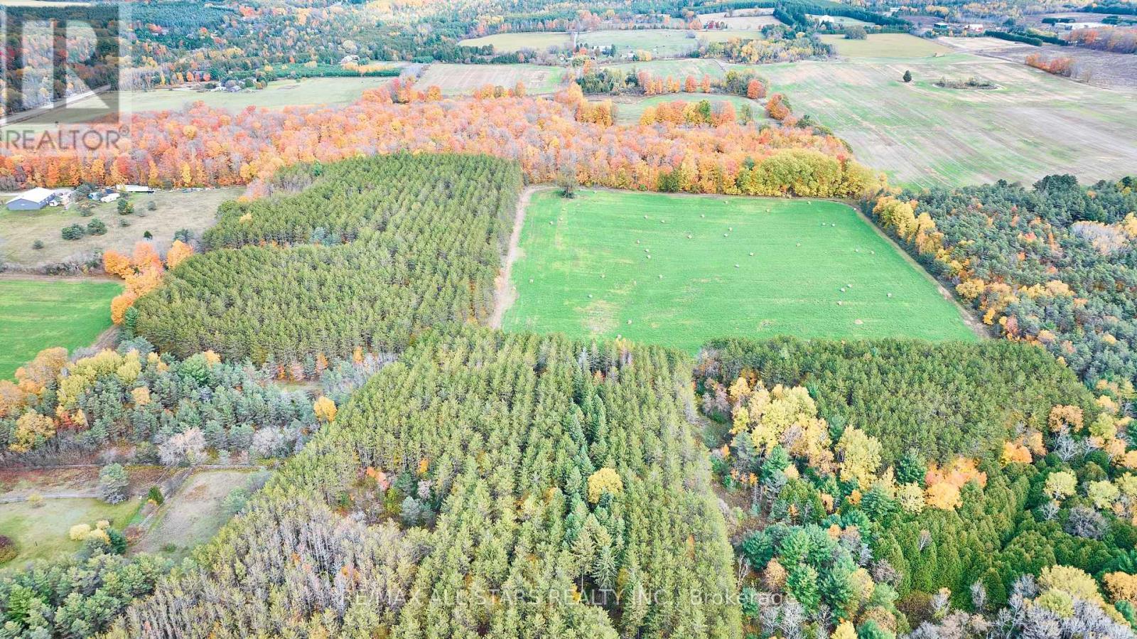 337 Regional Road 8, Uxbridge, Ontario L9P 1R1 - Photo 34 - N12474806