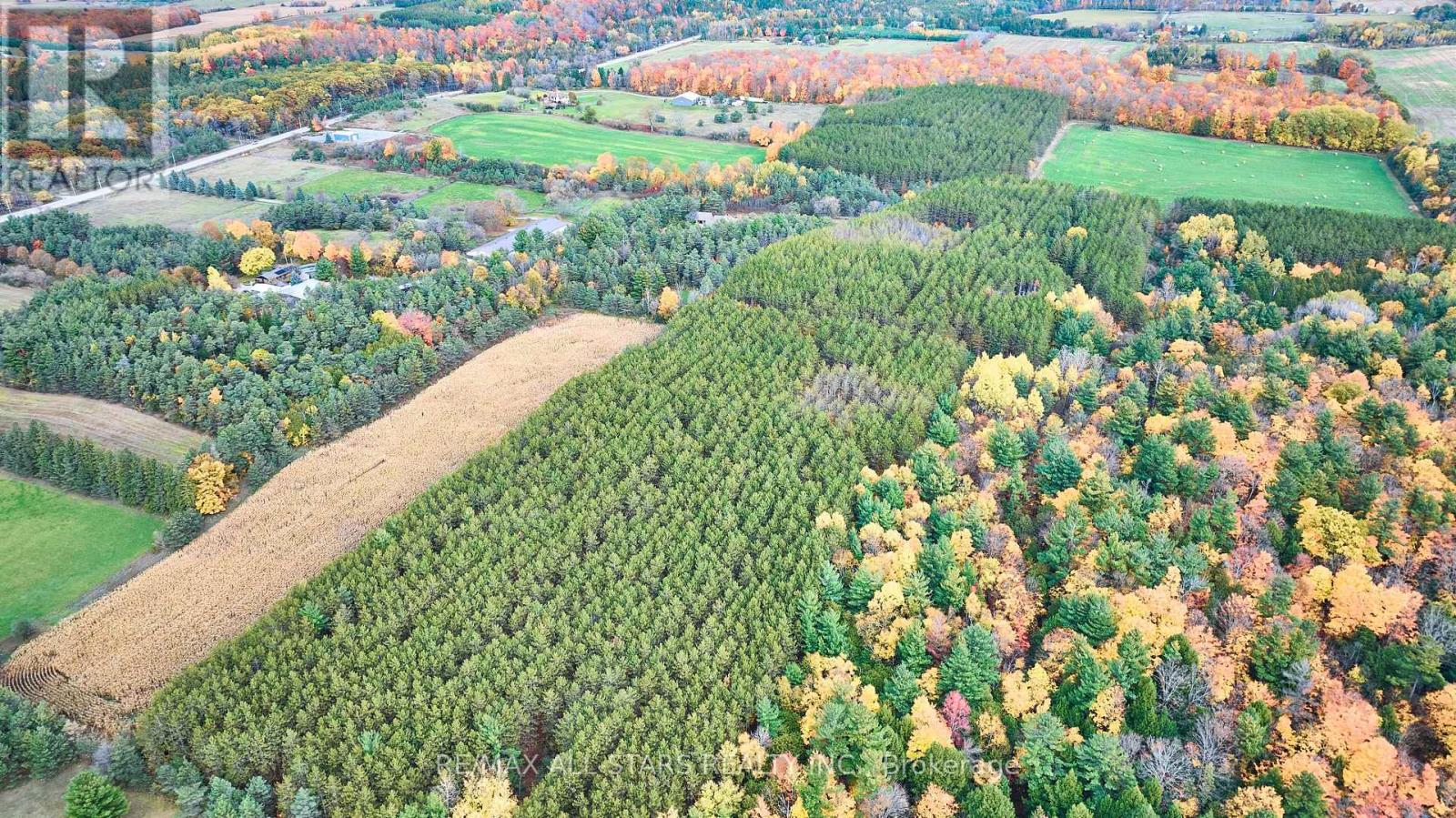 337 Regional Road 8, Uxbridge, Ontario L9P 1R1 - Photo 35 - N12474806