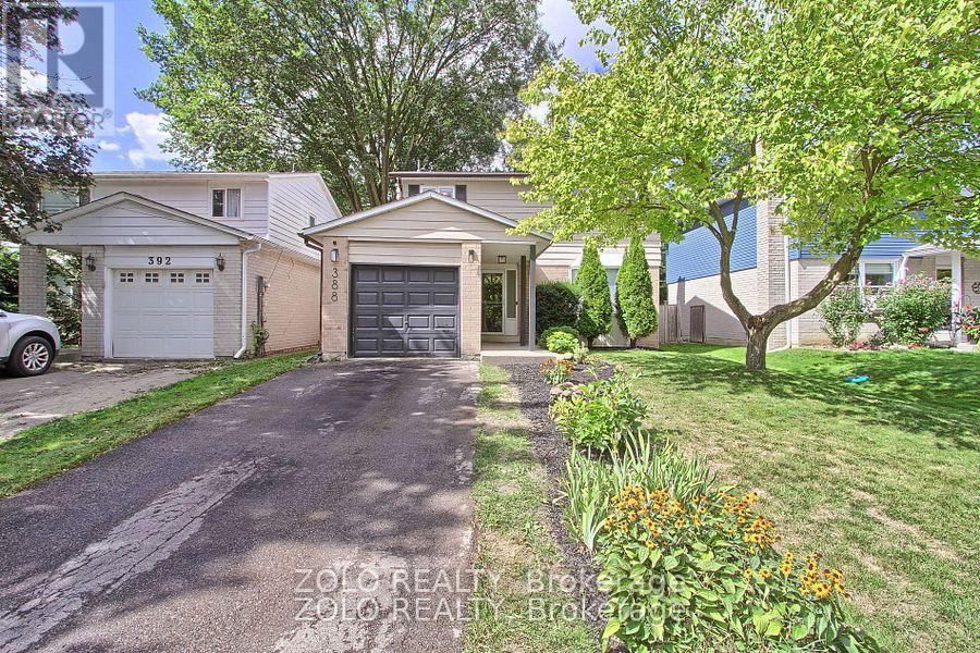388 Terry Drive, Newmarket, Ontario  L3Y 5E7 - Photo 2 - N12479276