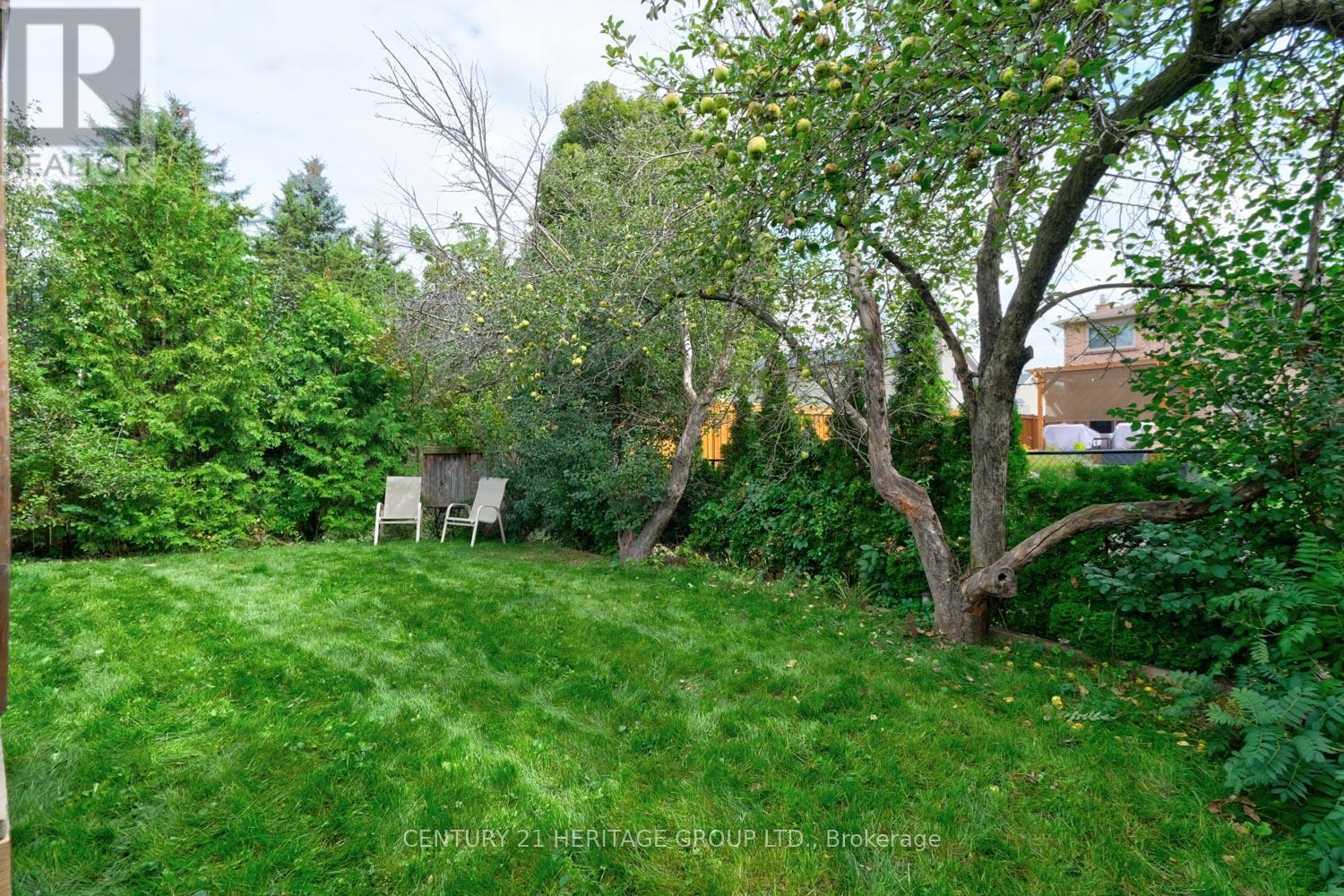 169 Spruce Street, Aurora, Ontario  L4G 3R7 - Photo 25 - N12474946
