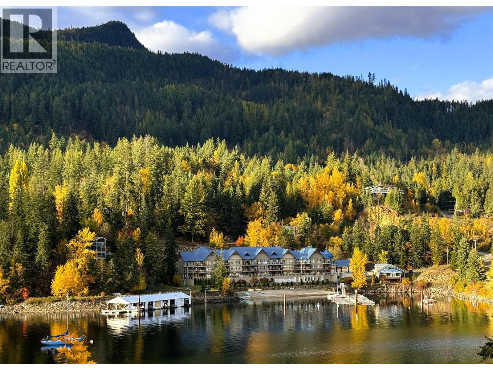 505 Rainbow Drive Unit# 207, Kaslo, British Columbia  V0G 1M0 - Photo 4 - 10366605