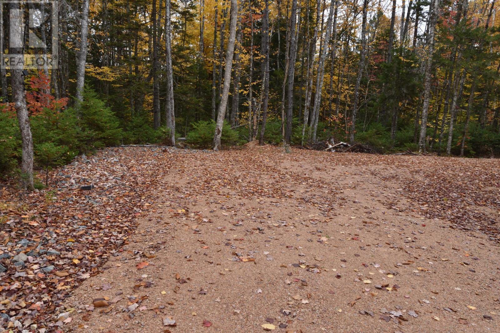 Lot 26 Balsam Road, Parkdale, Nova Scotia  B0R 1E0 - Photo 13 - 202526109