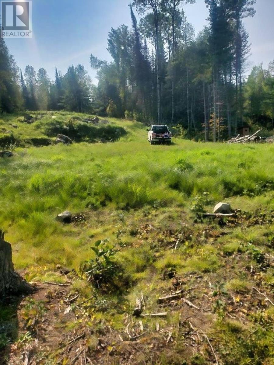 Lot 27 Bergman Road, Eva Lake, Atikokan, Ontario  P0T 1C0 - Photo 10 - TB253287