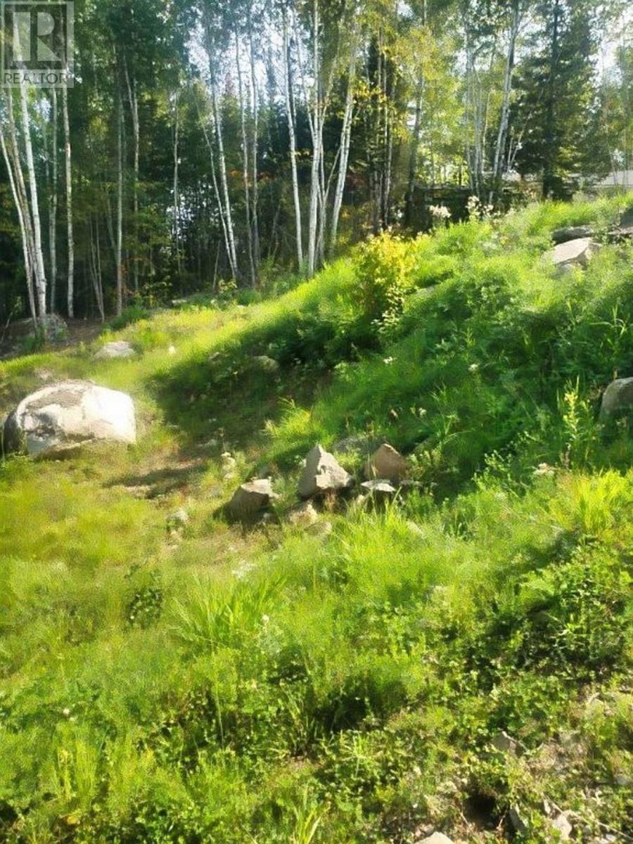 Lot 27 Bergman Road, Eva Lake, Atikokan, Ontario  P0T 1C0 - Photo 11 - TB253287