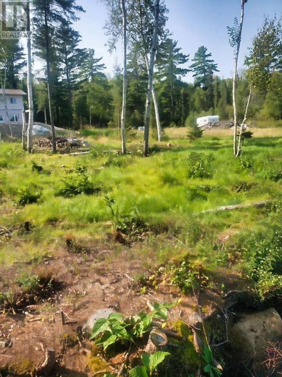 Lot 27 Bergman Road, Eva Lake, Atikokan, Ontario  P0T 1C0 - Photo 8 - TB253287