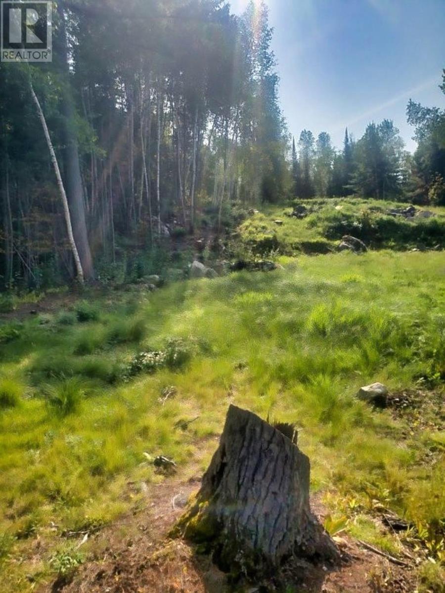 Lot 27 Bergman Road, Eva Lake, Atikokan, Ontario  P0T 1C0 - Photo 9 - TB253287