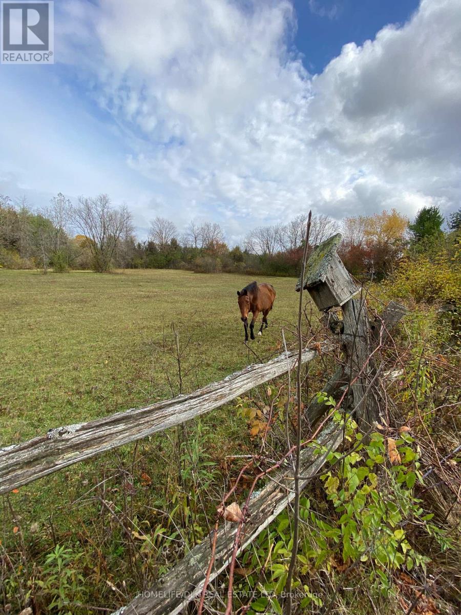 947 Townline Road N, North Grenville, Ontario  K0G 1J0 - Photo 35 - X12479135