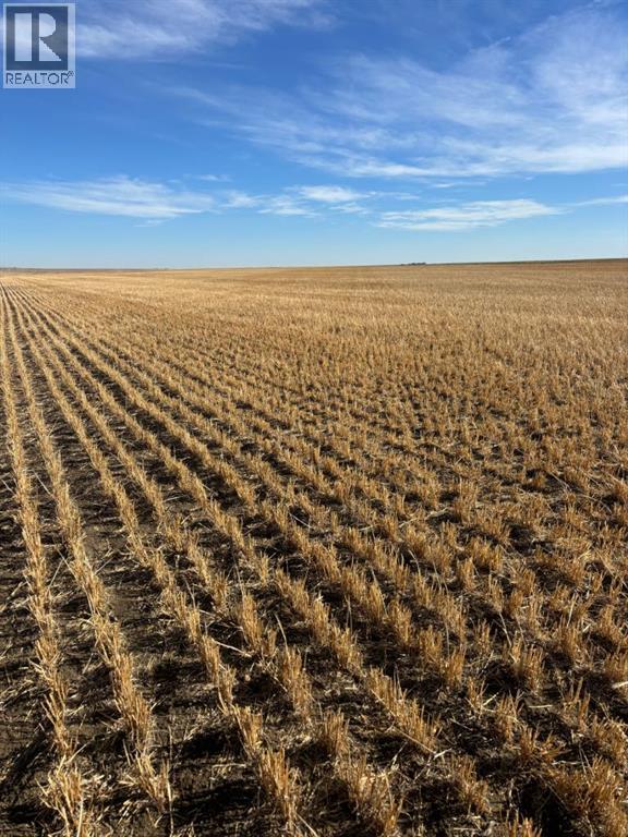 On Rr 224, Barons, Alberta  T0L 0G0 - Photo 2 - A2266529