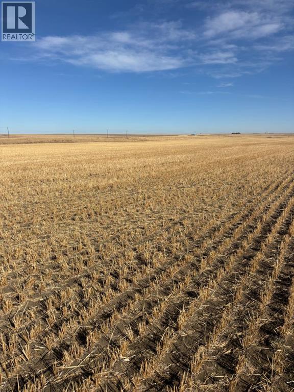 on RR 224, Barons, Alberta