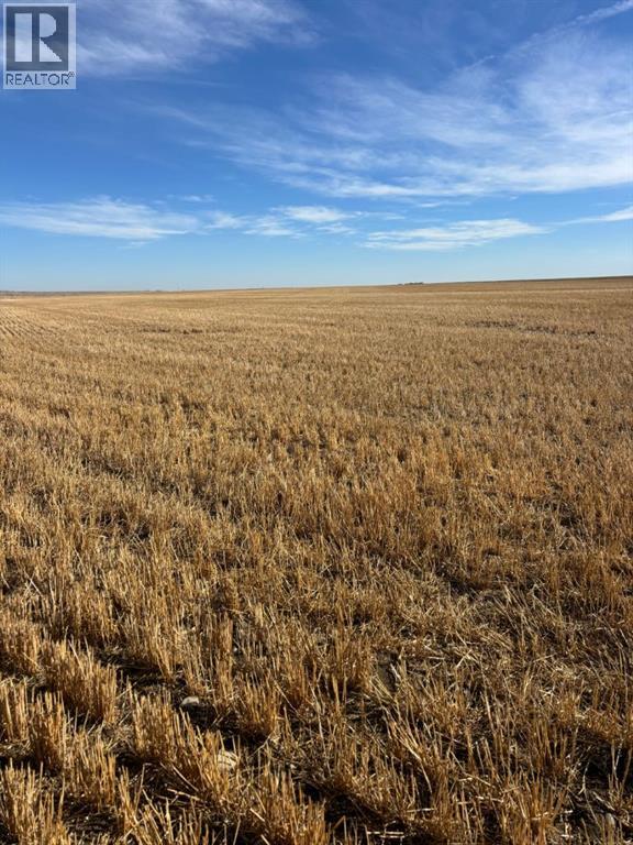 On Rr 224, Barons, Alberta  T0L 0G0 - Photo 3 - A2266529
