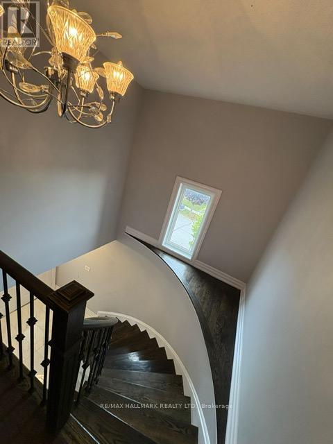 Main - 19 Wyman Crescent, Bradford West Gwillimbury, Ontario  L3Z 3J5 - Photo 15 - N12478405