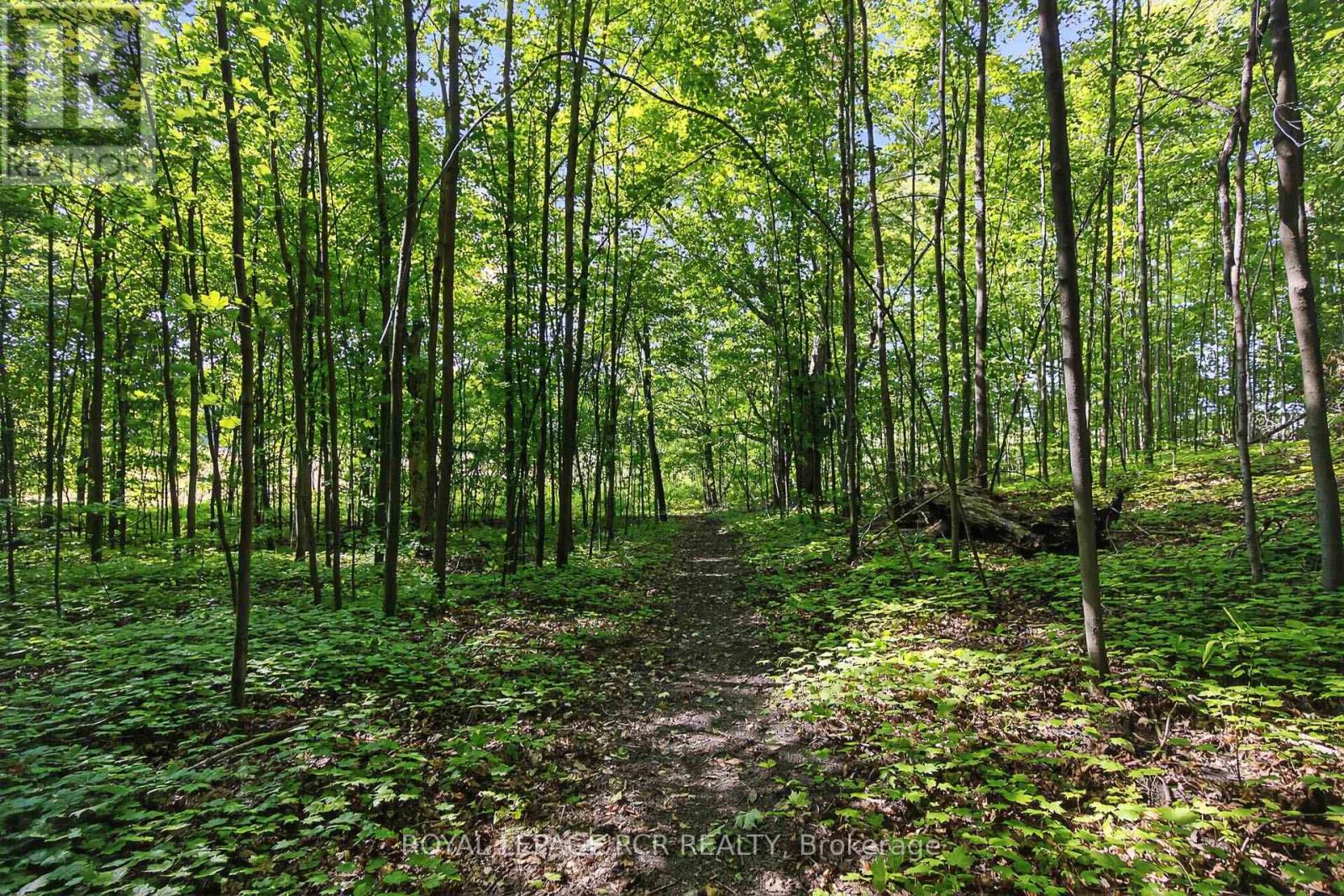 391 Goodwood Road, Uxbridge, Ontario  L0C 1A0 - Photo 6 - N12478191