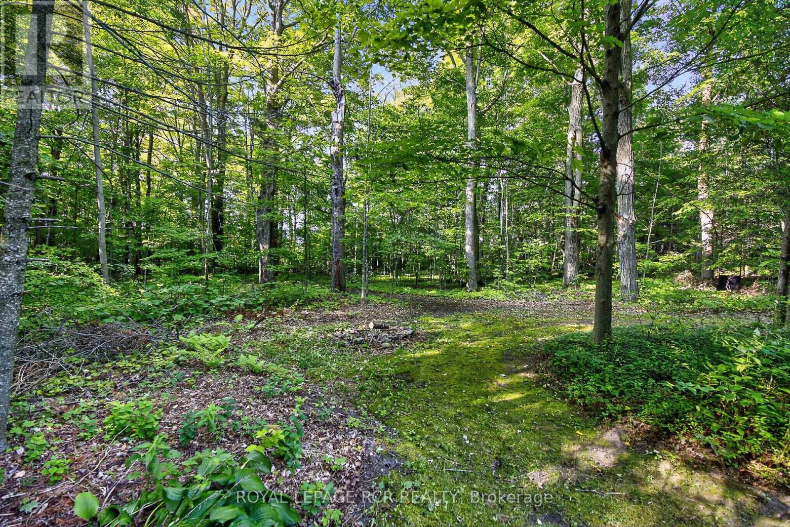 391 Goodwood Road, Uxbridge, Ontario  L0C 1A0 - Photo 37 - N12478191