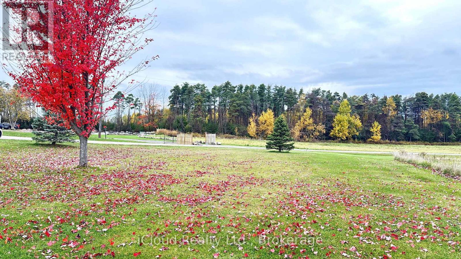 22186 Kennedy Road, East Gwillimbury, Ontario  L0G 1V0 - Photo 38 - N12472330