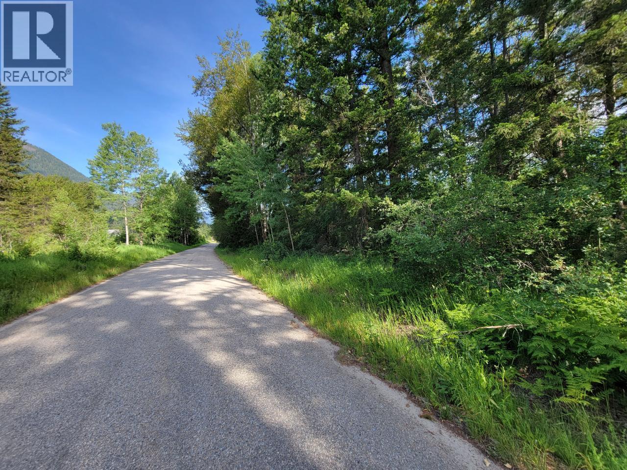 Lot 1 Passmore Old Road, Passmore, British Columbia  V0G 2J0 - Photo 4 - 10366555
