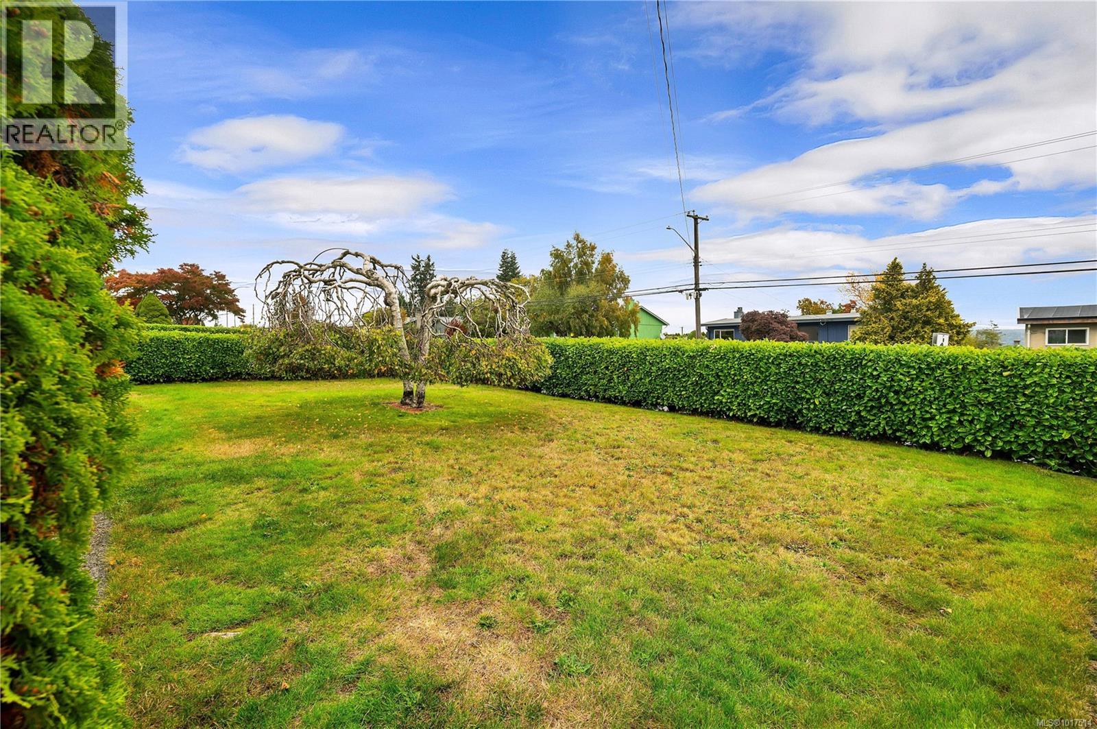 816 Alder St S, Campbell River, British Columbia  V9W 1Z3 - Photo 4 - 1017514