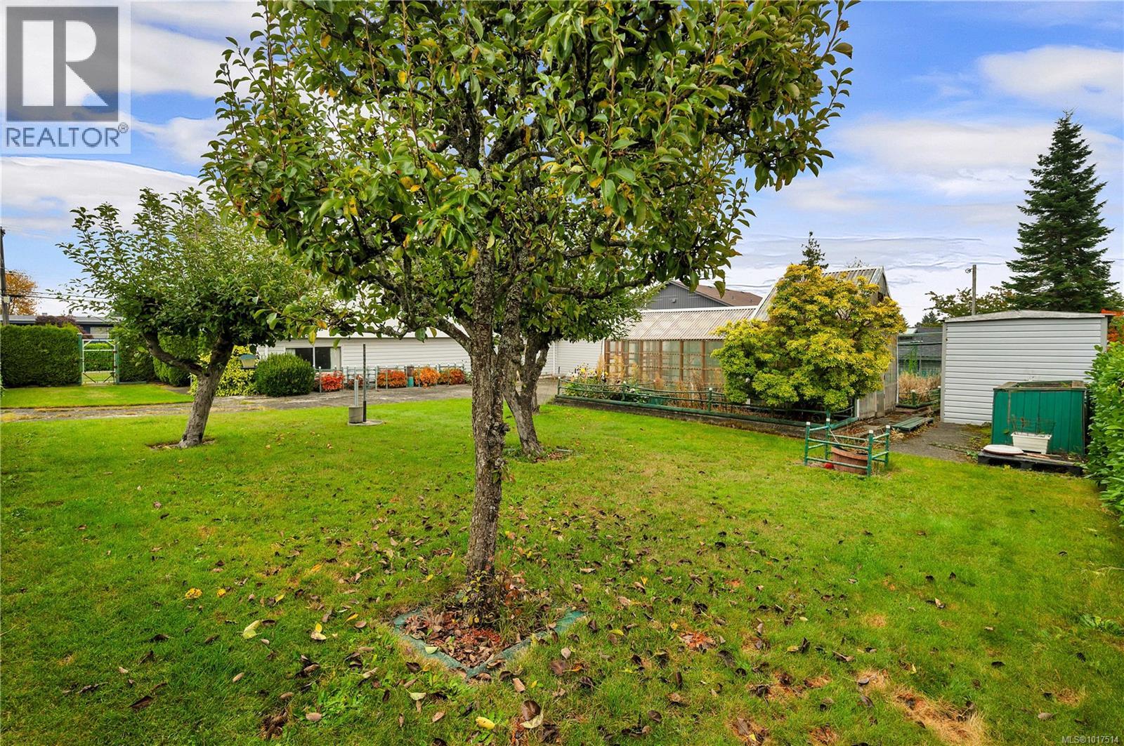 816 Alder St S, Campbell River, British Columbia  V9W 1Z3 - Photo 6 - 1017514