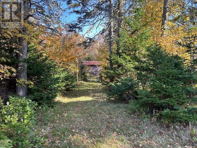 7734 Kempt Head Road, Kempt Head, Nova Scotia  B1X 1S1 - Photo 23 - 202524943