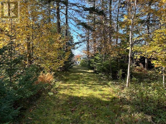 7734 Kempt Head Road, Kempt Head, Nova Scotia  B1X 1S1 - Photo 25 - 202524943
