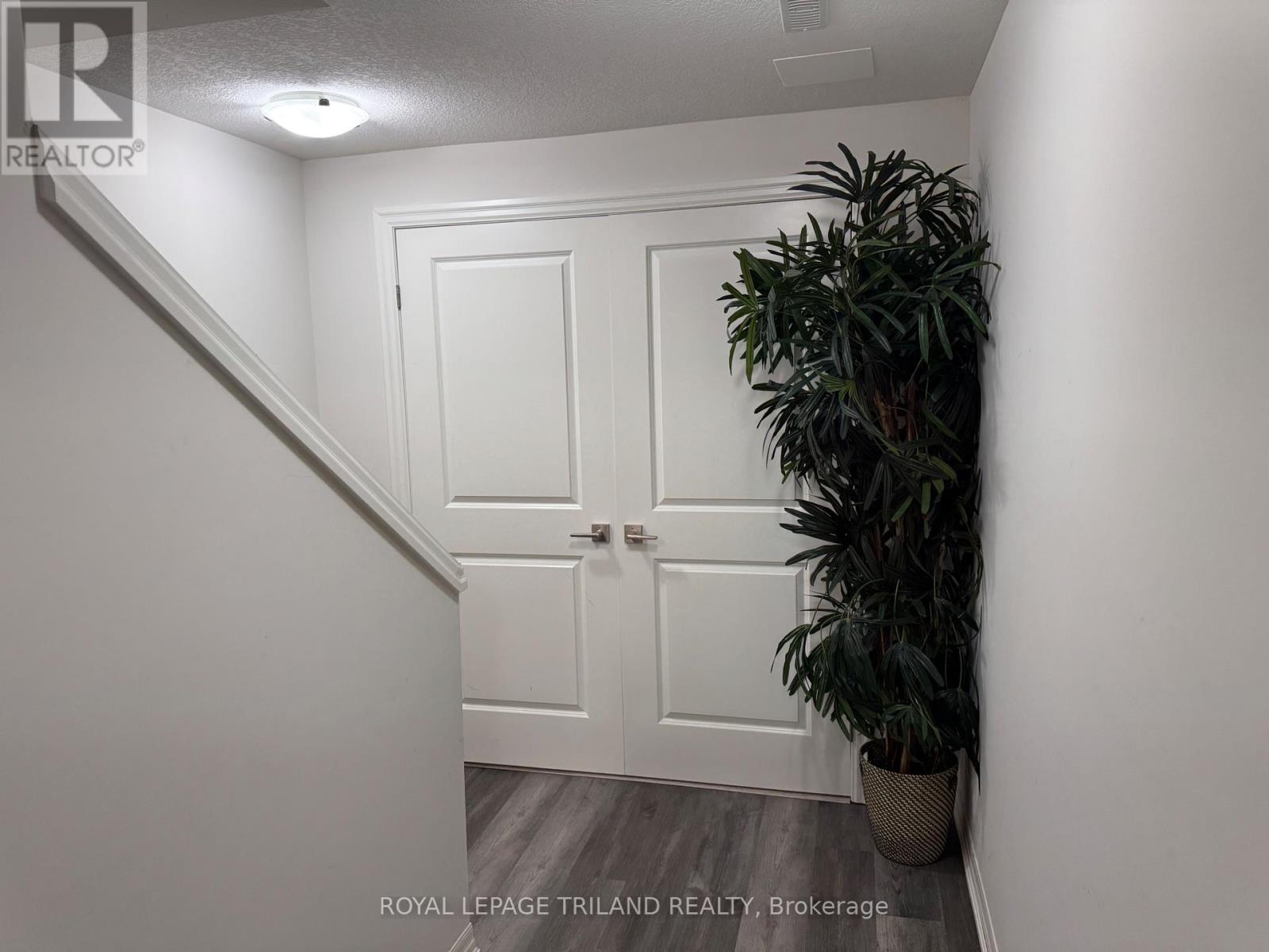 Lower - 41 Cortland Terrace, St. Thomas, Ontario  N5R 0J7 - Photo 4 - X12479548