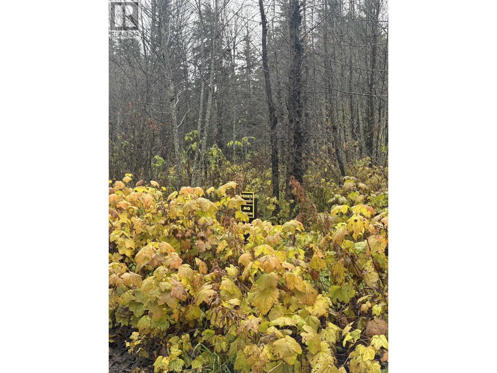 LOT 1 DL 1716 KILBY ROAD, Terrace, British Columbia