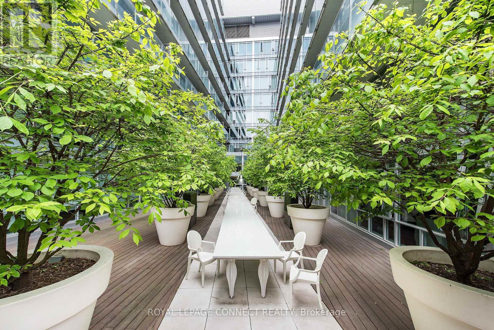 204 - 75 Portland Street, Toronto, Ontario  M5V 2M9 - Photo 26 - C12479602