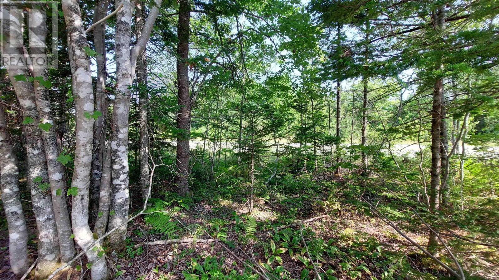 70 Acre Highway 4, Grande Anse, Nova Scotia  B0E 1J0 - Photo 5 - 202526307