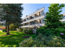 <div class="price">$525,000</div> 217 15275 19 Avenue, Surrey<br><div style="margin-bottom:8px;"><small>Royal LePage - Wolstencroft</small></div><div class='bed_bath'>2 Bed | 2 Bath</div>