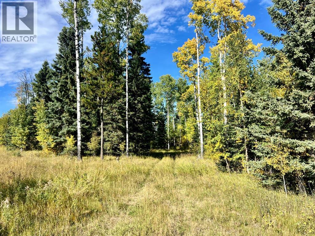5 Ridgeland Road, Rural Clearwater County, Alberta  T4T 2A4 - Photo 1 - A2265467