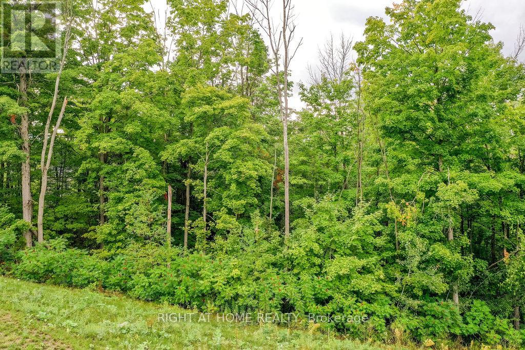 8 Forest Heights Court, Oro-Medonte, Ontario  L0L 2E0 - Photo 7 - S12369366